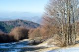 201212301052-AJS_5886.jpg